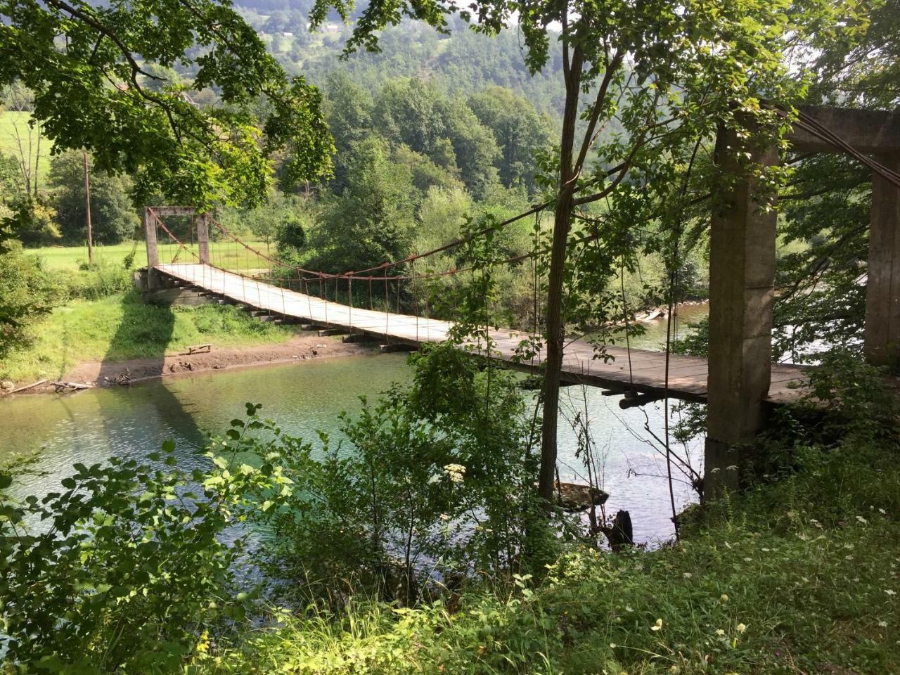Taramour Cottages. Mojkovac Dış mekan fotoğraf