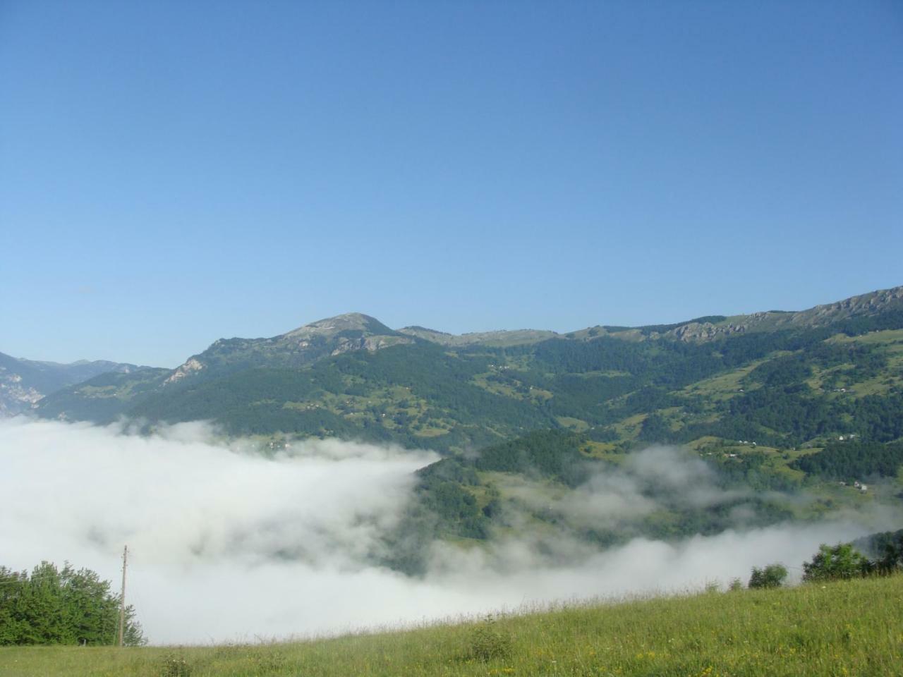 Taramour Cottages. Mojkovac Dış mekan fotoğraf