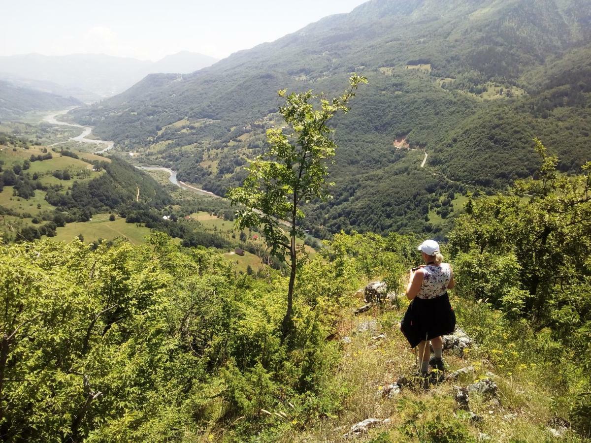 Taramour Cottages. Mojkovac Dış mekan fotoğraf